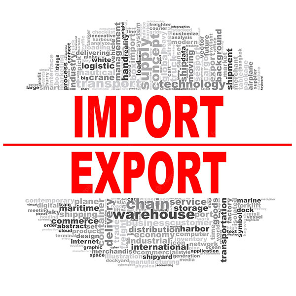 import export word cloud 698953 468