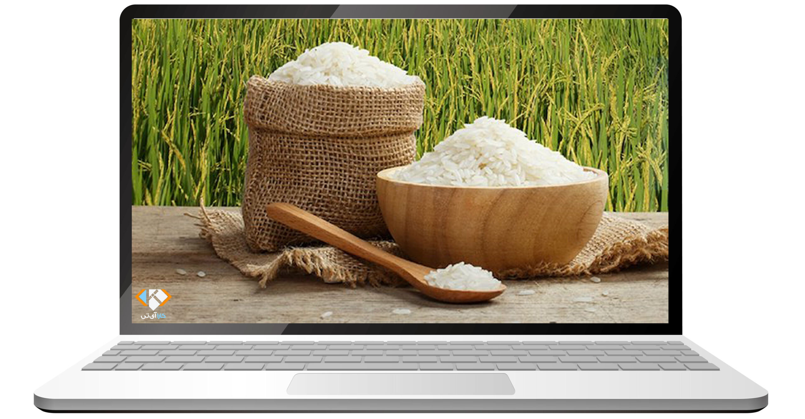 طراحی سایت فروش برنج
